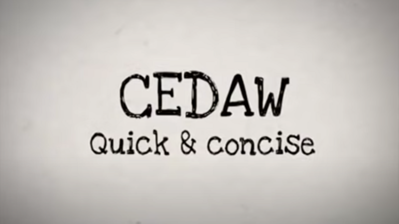 CEDAW Quick and Concise
