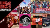 Die Collage zeigt Fotos der One Billion Rising-Demos, unter anderem Plakate aus Kamerun und Deutschland. 